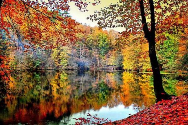 Yedigöller Fotoğraf Turu